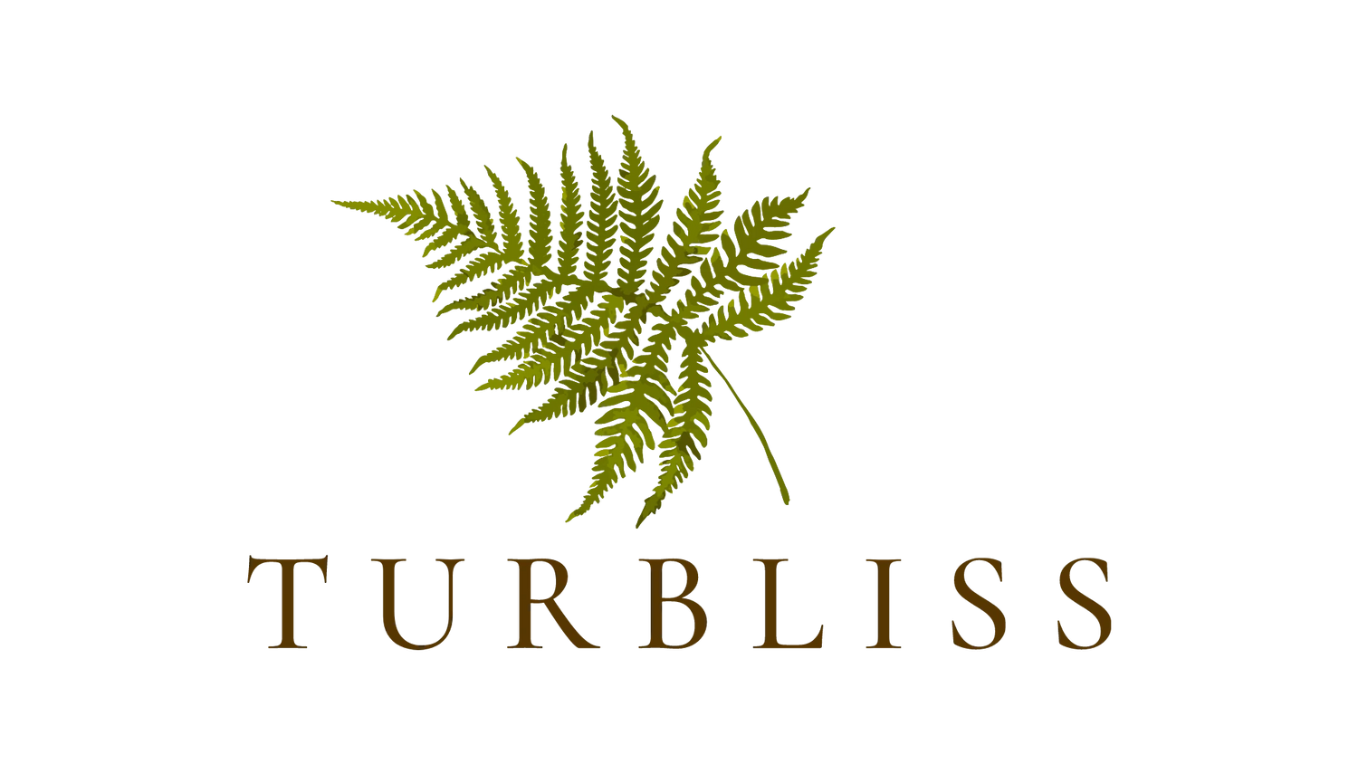 Turbliss
